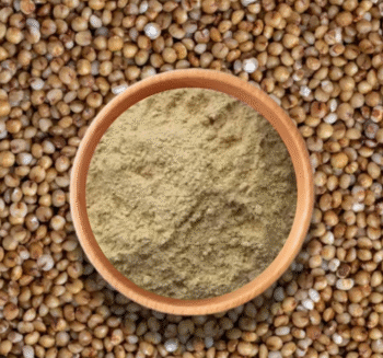 Fresh Soaked & Dried Kodo Millet Flour